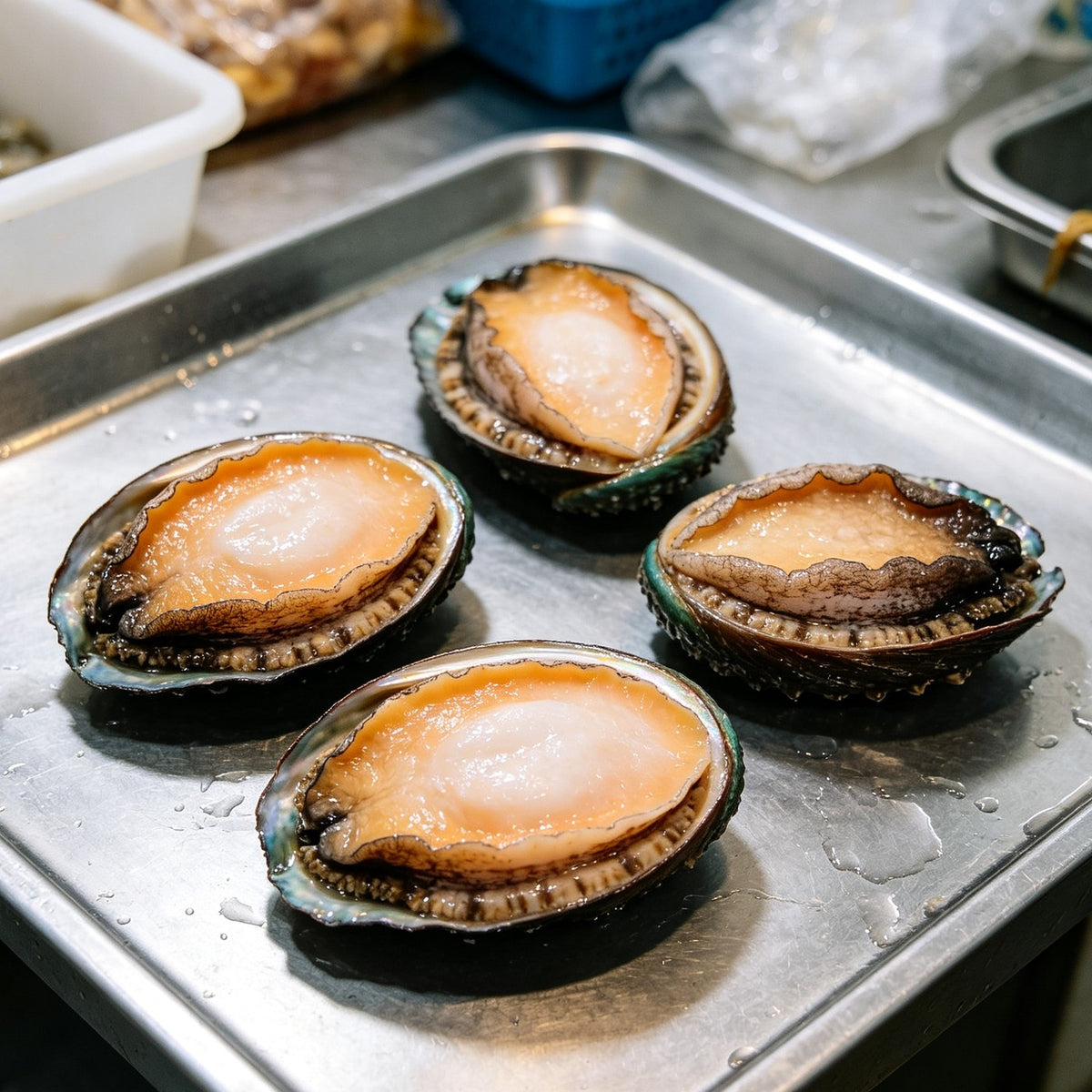 Fresh Abalone in Shell - view 1